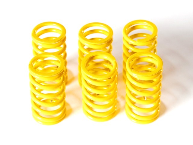 6M01 - KIT CLUTCH SPRINGS
