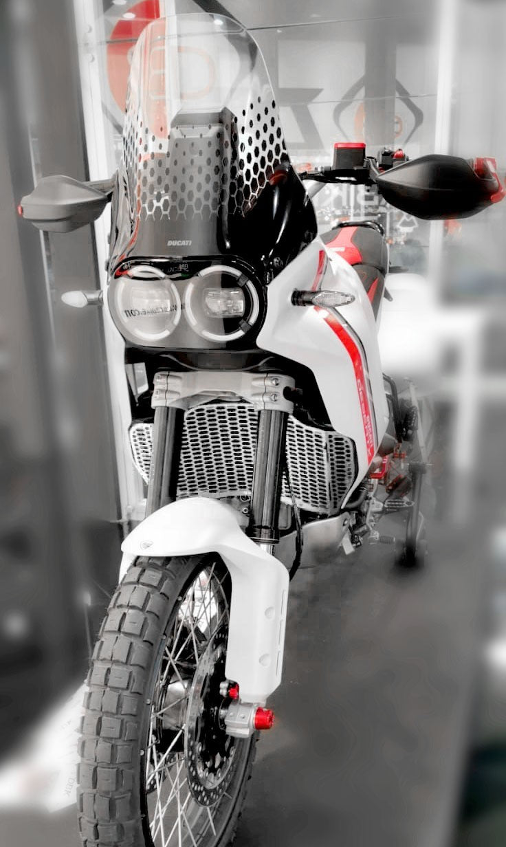 GR14 - DESERTX H20 RADIATOR GUARD