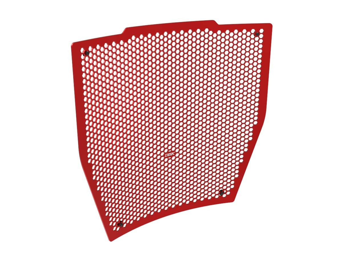 GR33 SFV4 H2O Radiator Guard
