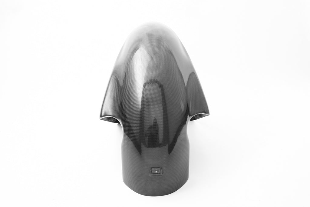 FRONT MUDGUARD - Desmosedici RR type