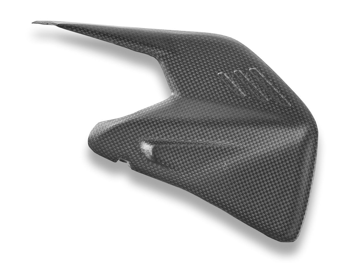 CRB234O PANIGALE/SF V4 MY25 Carbon Swingarm Protector