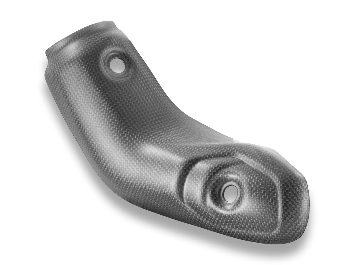 CRB208O MTS V4 RS Carbon Exhaust Guard
