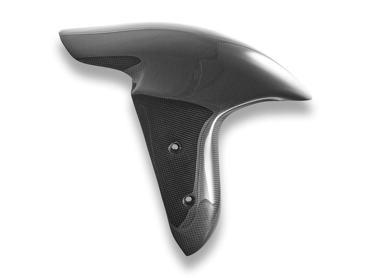 CRB225L Panigale V4 MY25 Glossy Carbon Front Fender