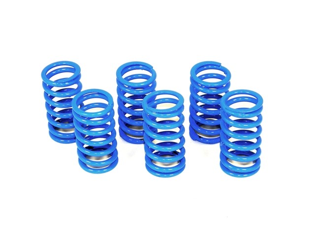 6M01 - KIT CLUTCH SPRINGS