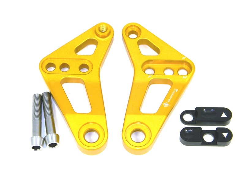 BSP01 - REAR LINK SUSPENSION PANIGALE