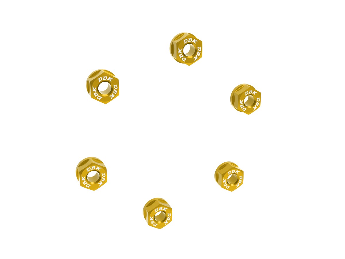 6DSB05  - NUTS SET REAR SPROCKET CARRIER M10x1.25