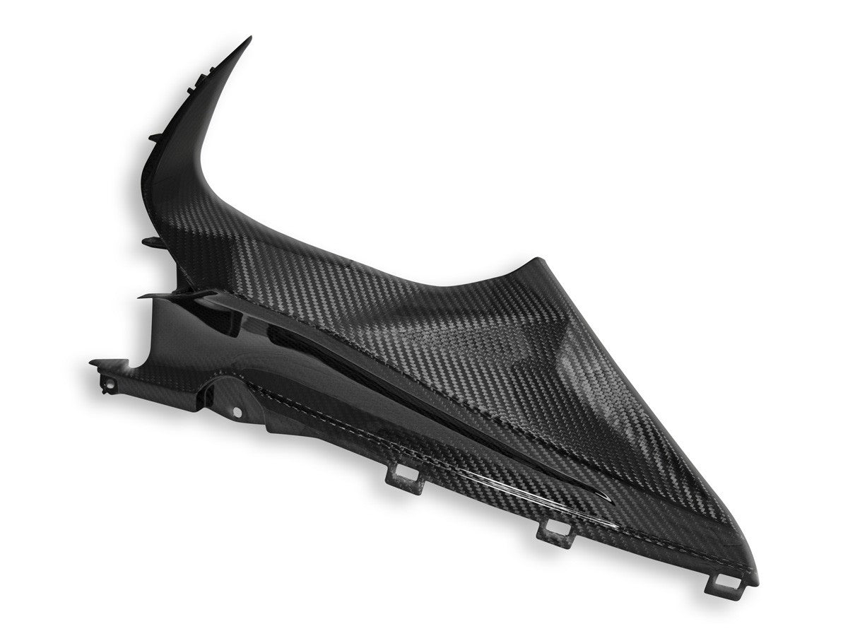 CRB113L - BMW S1000RR GLOSSY CARBON INFIL PANEL