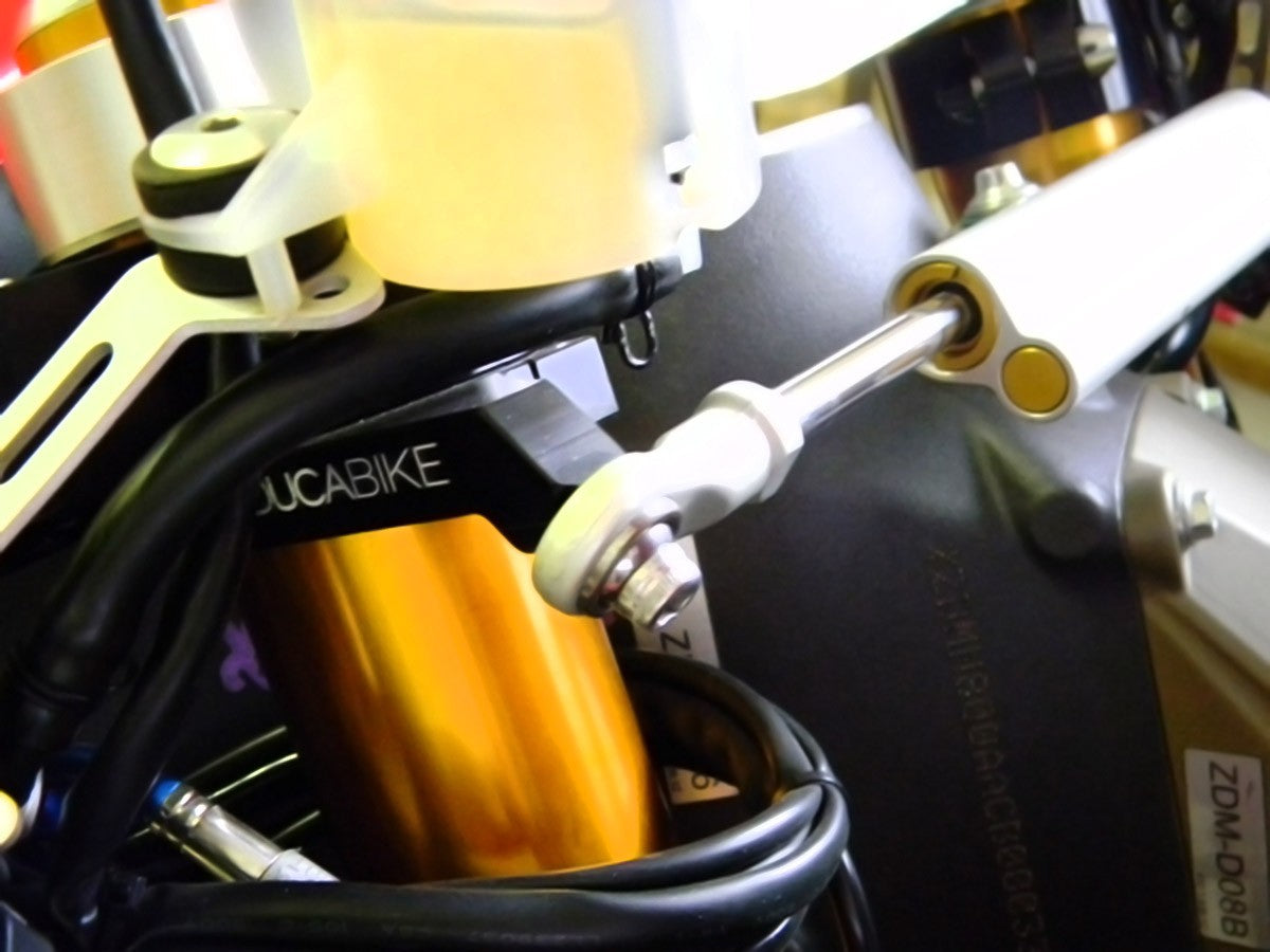 SAS02D DAMPER STEERING SUPPORT OHLINS D.53mm