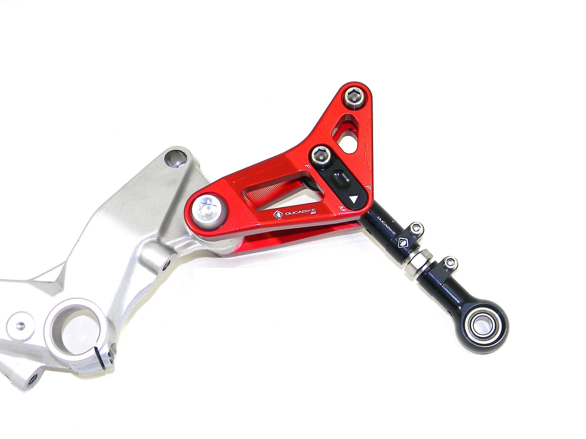 BSP01 - REAR LINK SUSPENSION PANIGALE