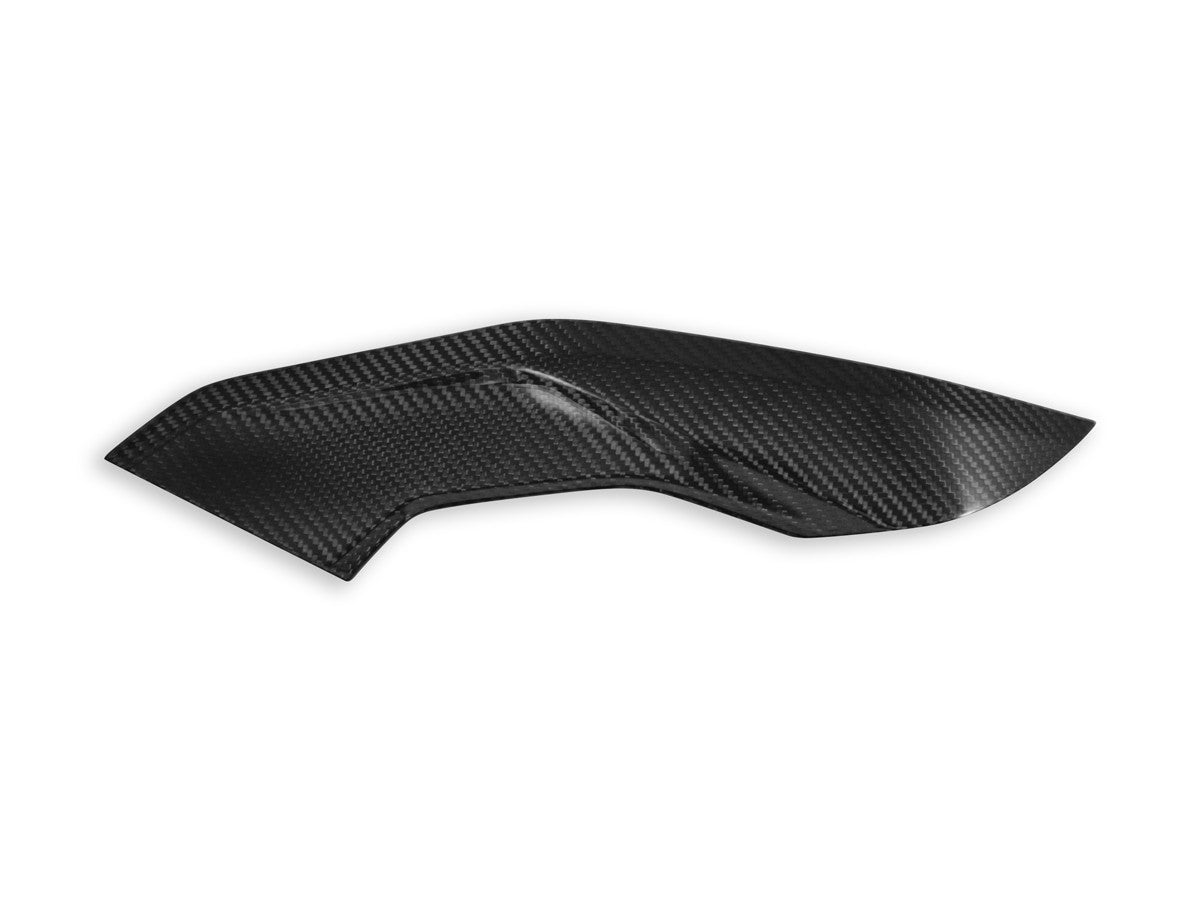 CRB139L - BMW S1000R SIDE PANELS POLISHED CARBON