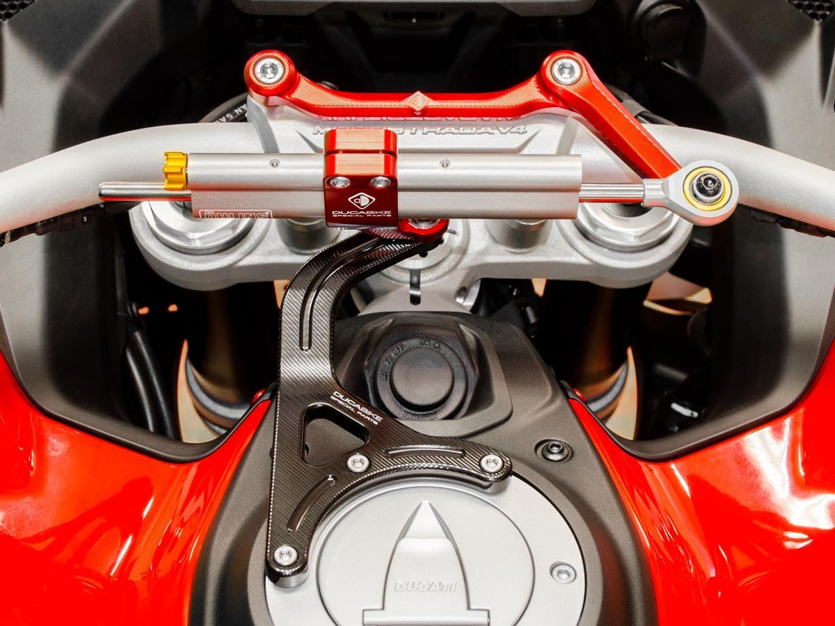 Ducabike DBK SAS18 MTSV4 Pp Kit Mount Steering Damper