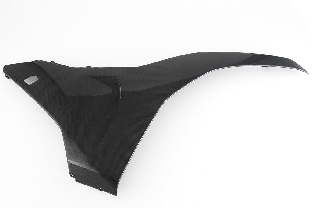 FAIRING SIDE PANEL - LOWER RIGHT