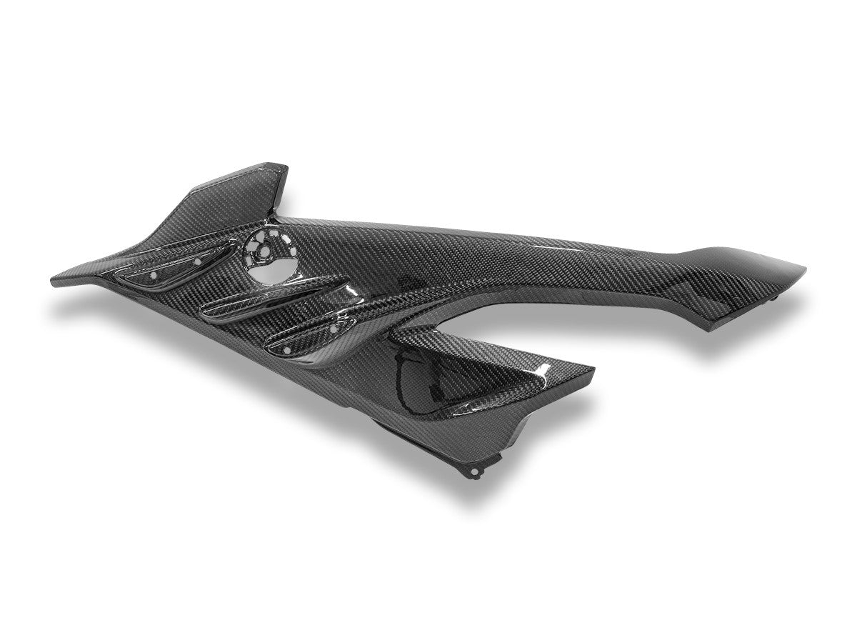 CRB219L BMW S1000RR My23 Glossy Carbon Side Panel Infill
