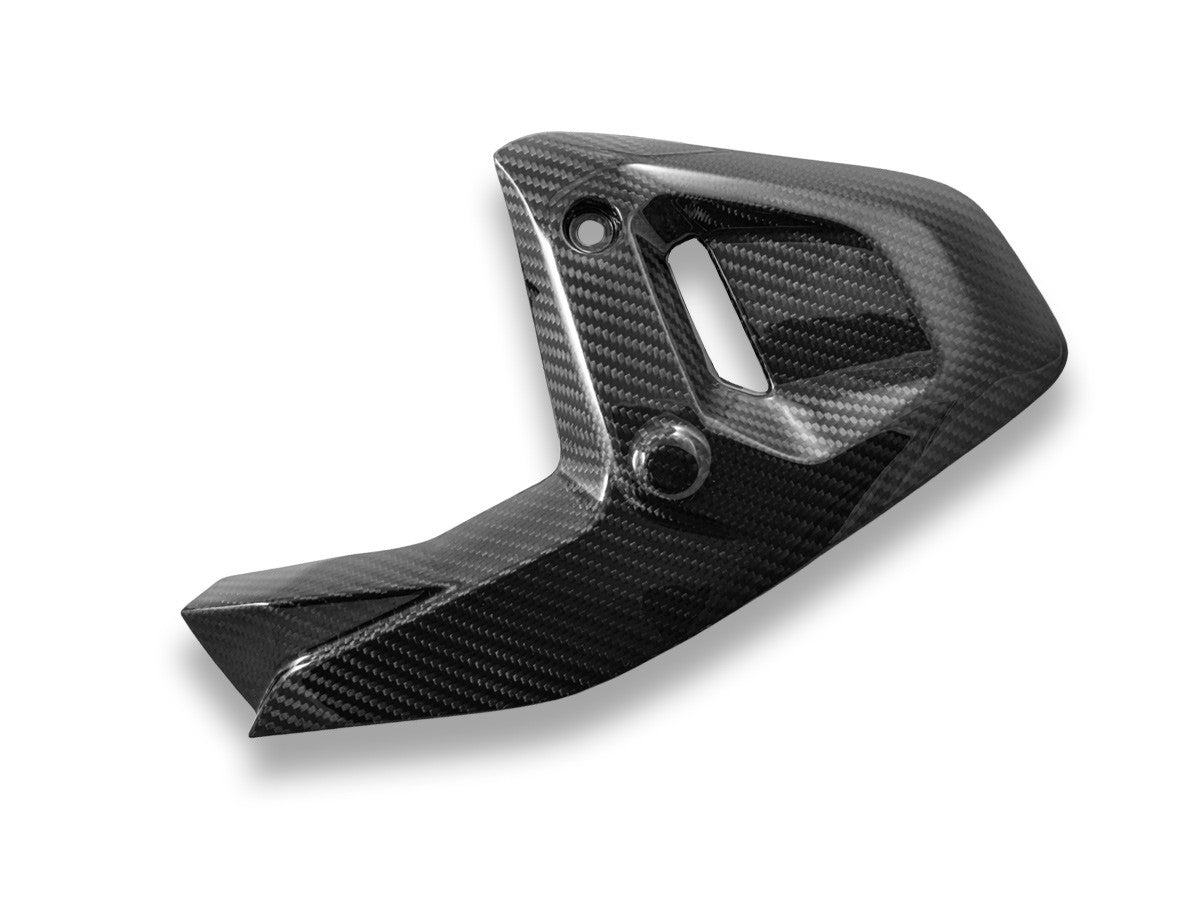 CRB182L BMW R1300GS Glossy Carbon Side Panels