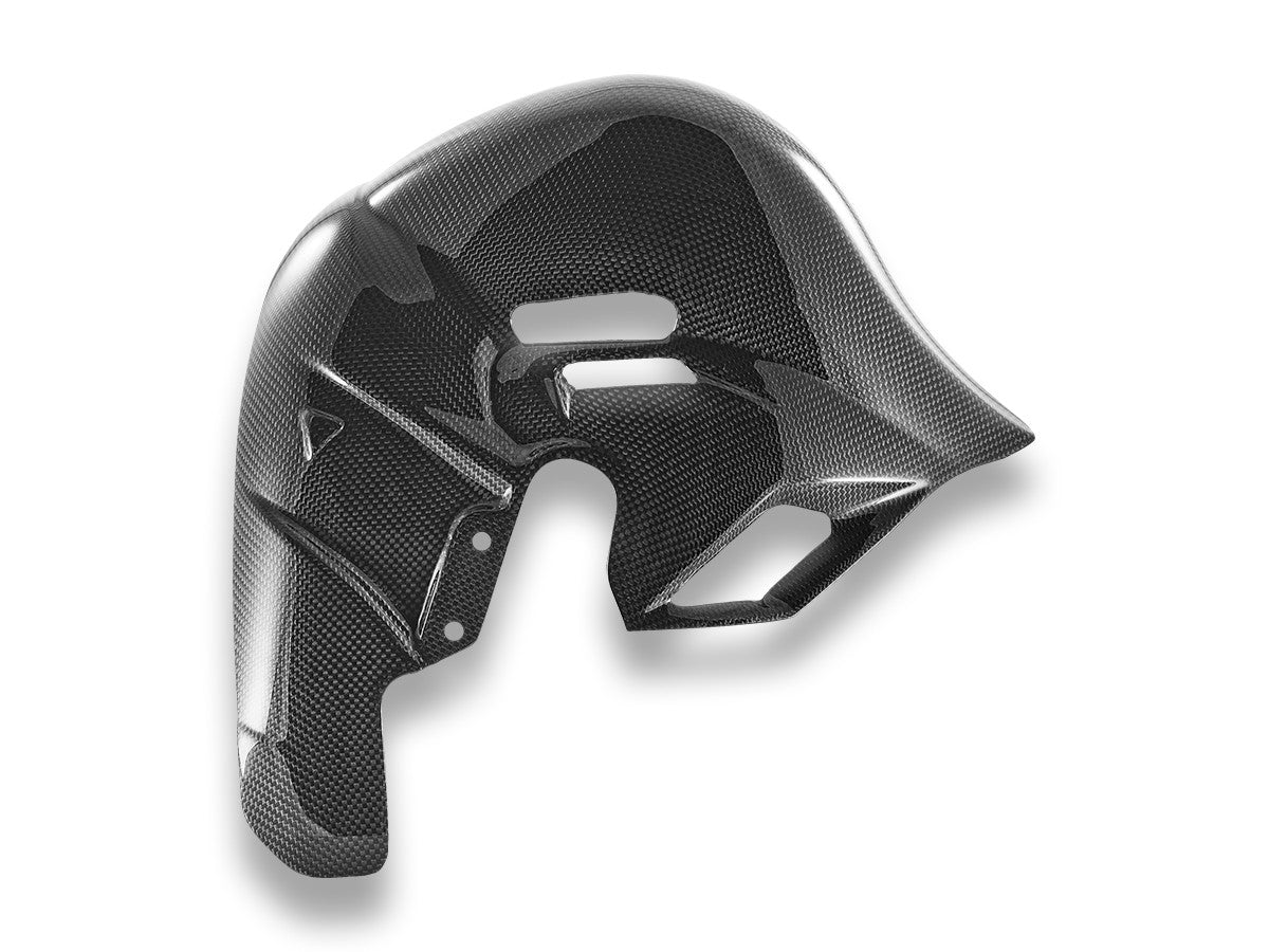 CRB230L - PANIGALE V4 (2025) GLOSSY CARBON EXHAUST COVER