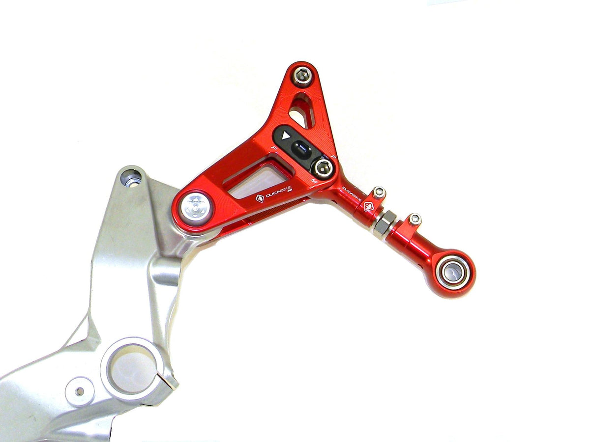 BSP01 - REAR LINK SUSPENSION PANIGALE