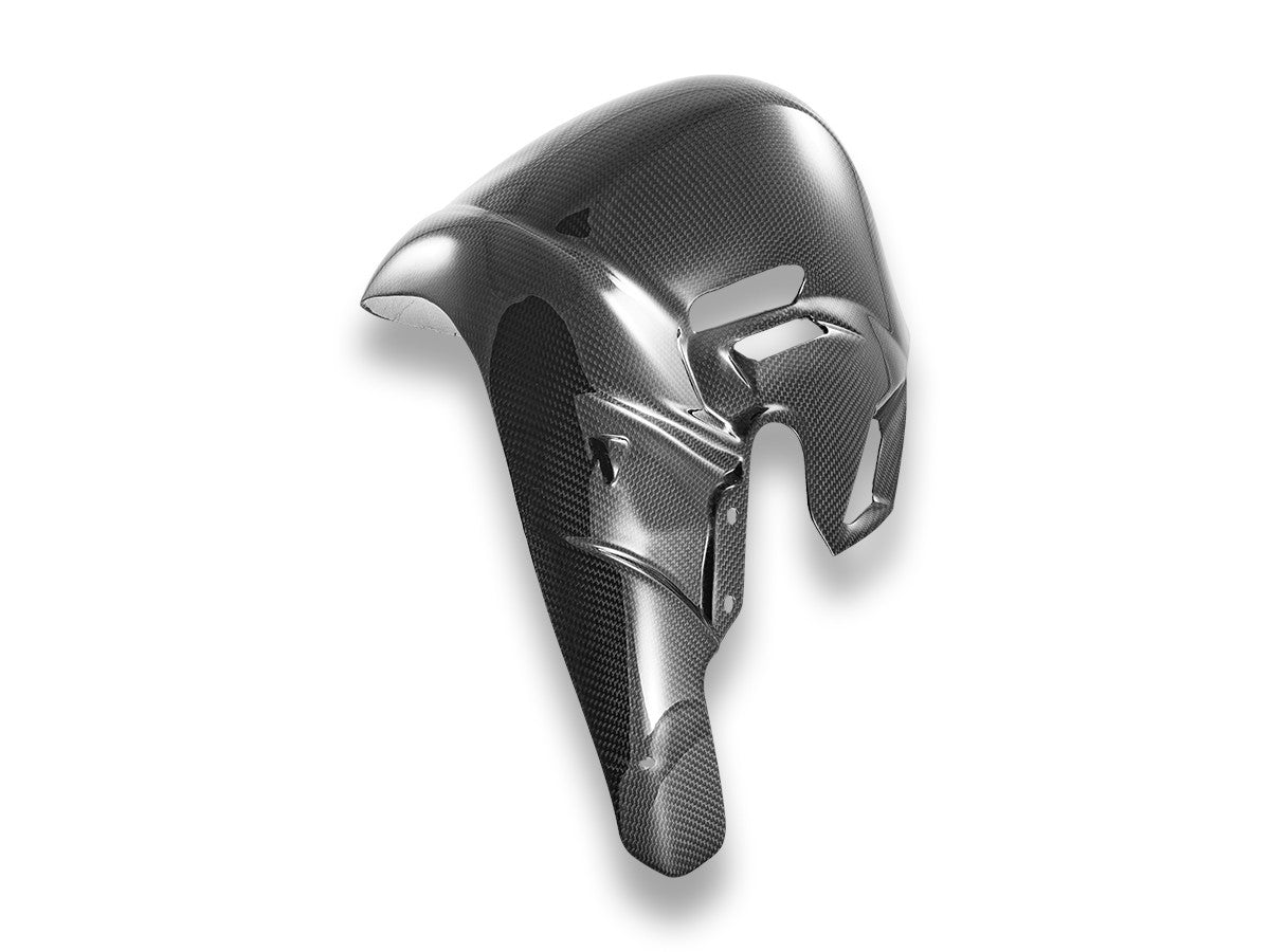 CRB230L Panigale V4 (2025) Glossy Carbon Exhaust Cover